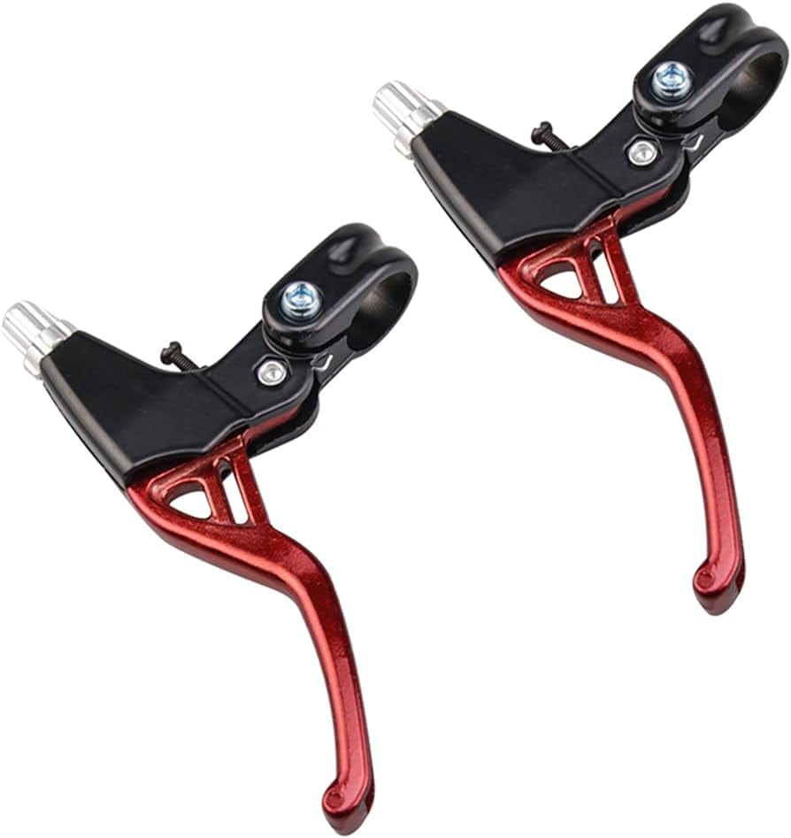 WhatsApp Image 2024-08-27 at 9.25.06 AM