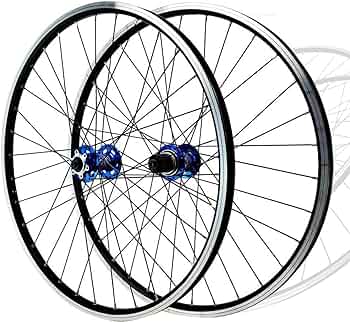 WhatsApp Image 2024-08-27 at 9.25.23 AM (1)